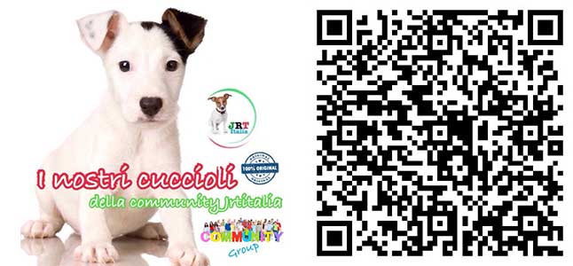 Cuccioli Canali Social
