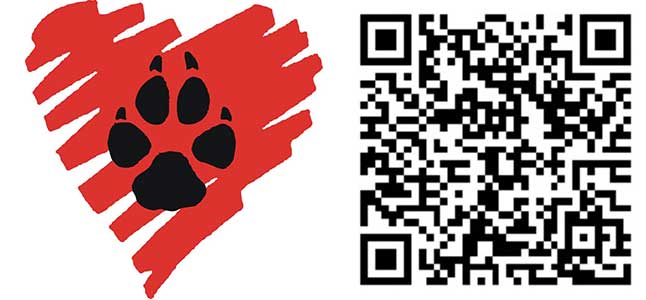 pet Canali Social