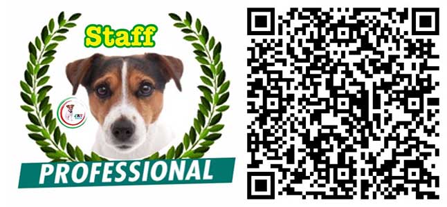 professional Canali Social