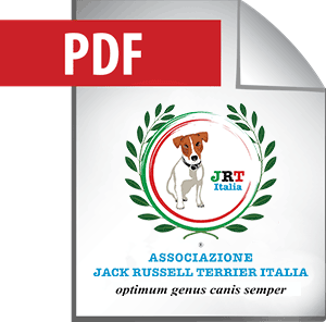 pdf-versione-1 RPZ nel tuo sito web