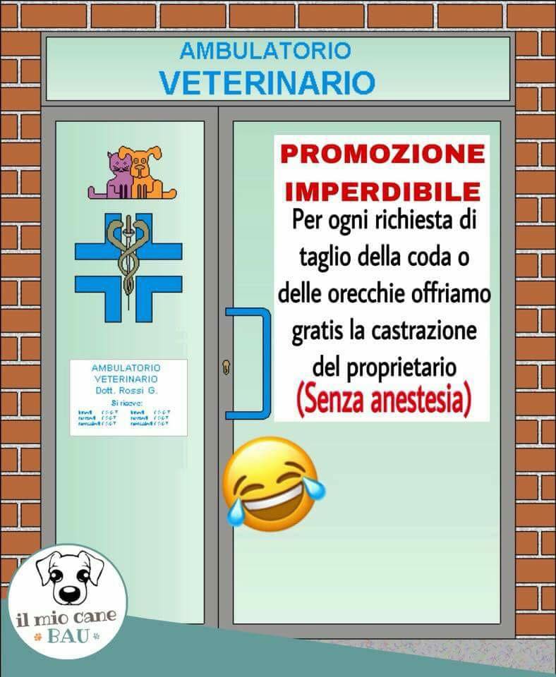 27336362_540612946319598_8391204261604527770_n Cosa aspettate ad iscrivervi al Gruppo Facebook di JrtItalia?
