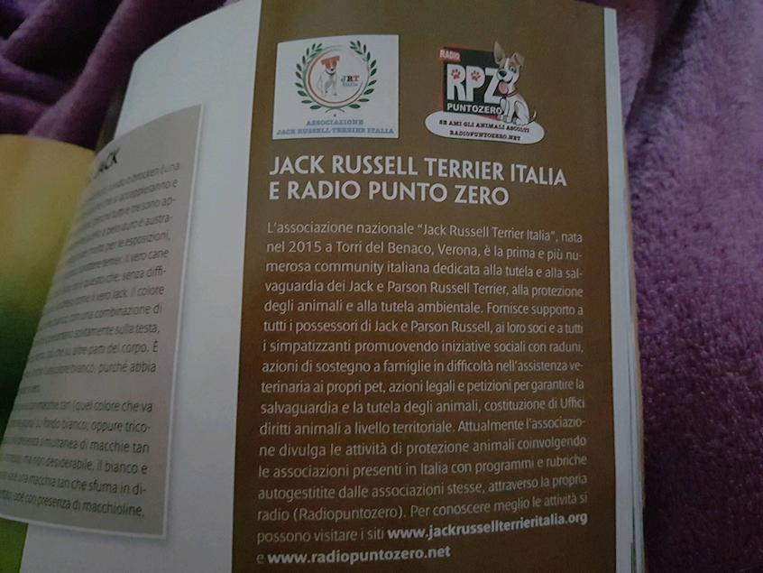 28234952_977724472378632_3674030359018136774_o-1 Jack Russell Terrier Italia e RadioPuntoZero sulla Rivista Quattrozampe